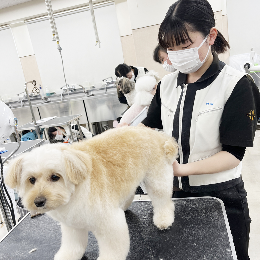 ２年生、卒業までのカウントダウンが始まりました！